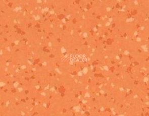 Линолеум Gerflor Taralay Premium Brazilia 8157 Goias фото 1 | FLOORDEALER